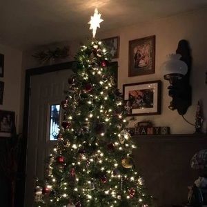 Meet your Posher, Terri